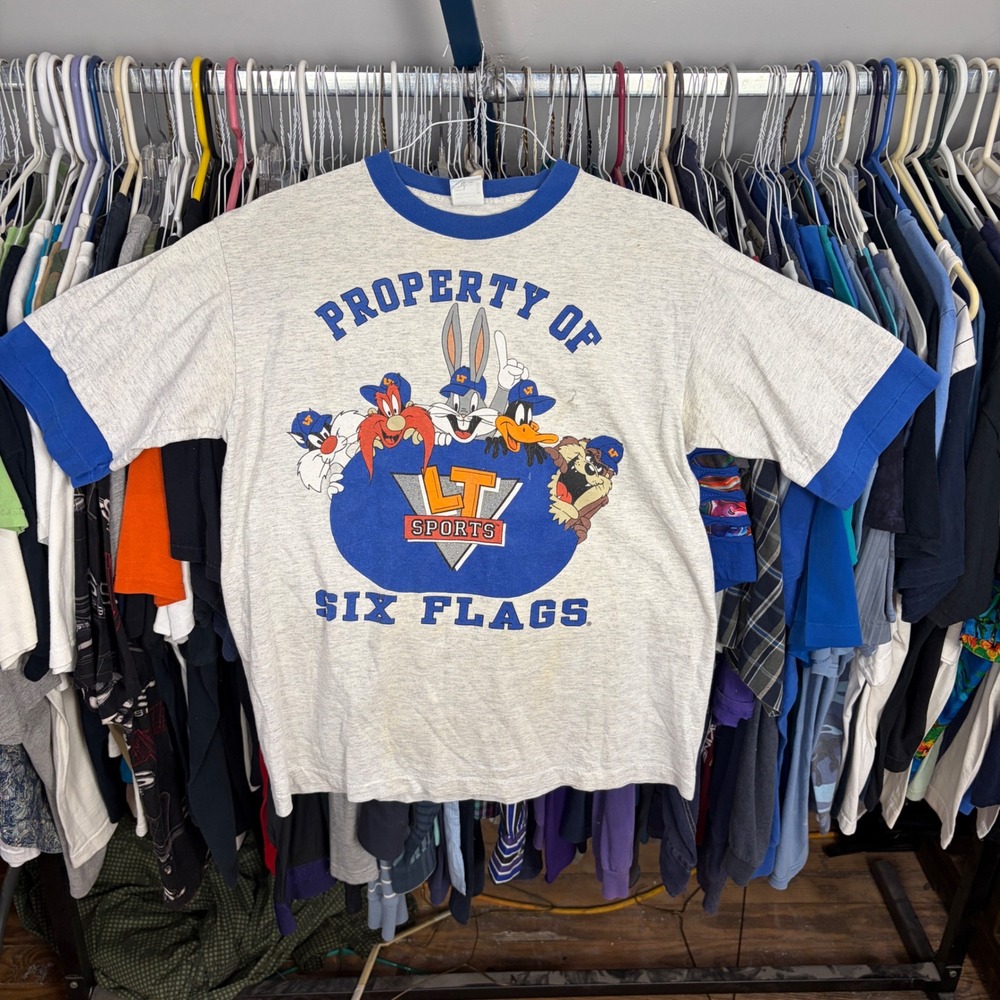Vintage Six Flags Looney Tunes Ringer T-Shirt Grey Blue LT Sports Made in USA L